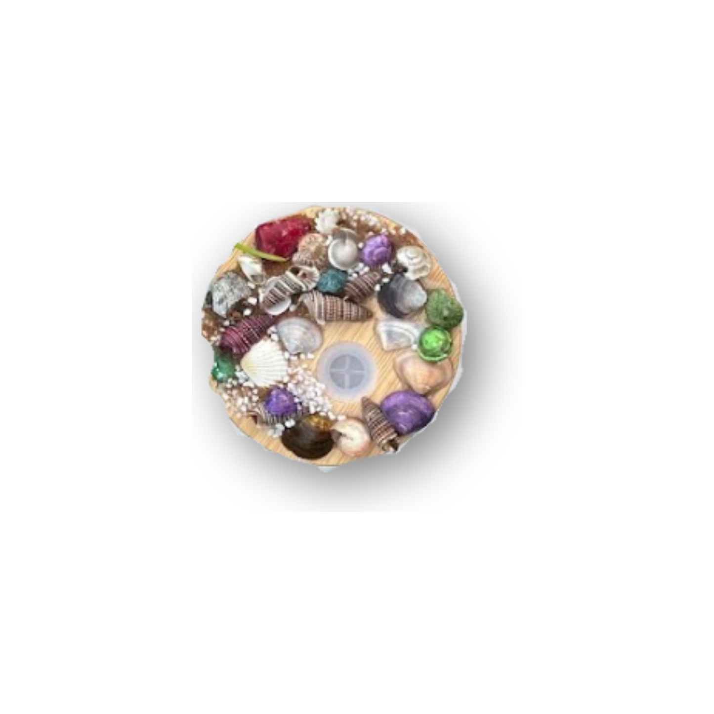 π Sand Seashell Lid