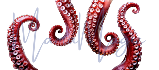 Octopus 16 oz Libby Cup Wrap | Digital Download | PNG